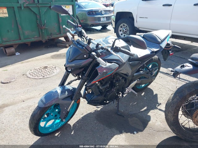 Yamaha Mt-03 2023 MH3RH20Y2PK009316 Image 2