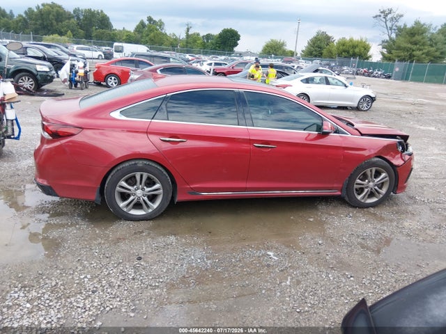 Продаж на аукціоні авто 2019 Hyundai Sonata Sport, vin: 5NPE34AF3KH800353, номер лоту: 45642240