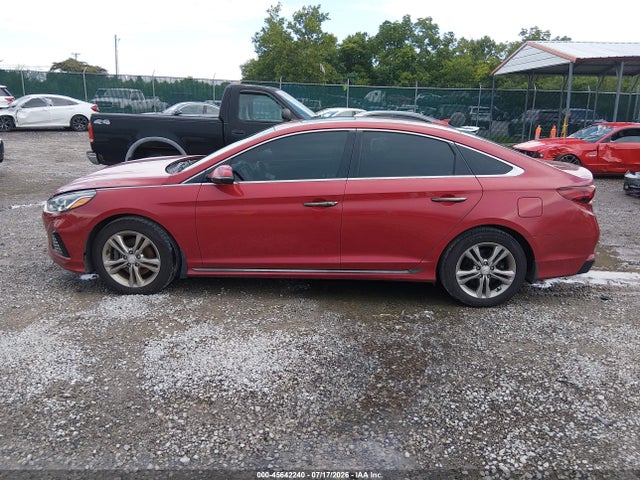 Продаж на аукціоні авто 2019 Hyundai Sonata Sport, vin: 5NPE34AF3KH800353, номер лоту: 45642240