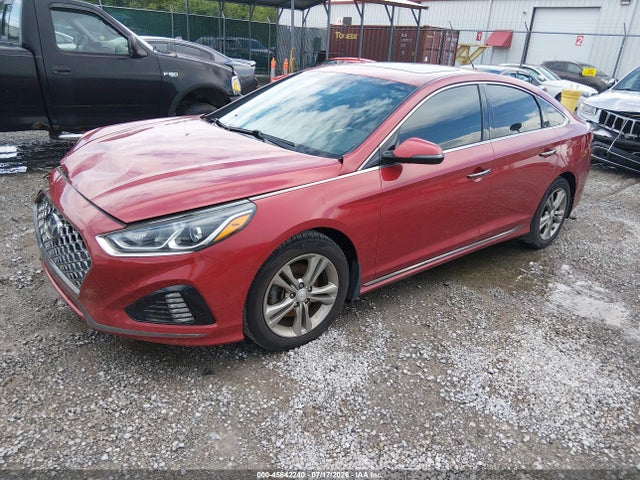Продаж на аукціоні авто 2019 Hyundai Sonata Sport, vin: 5NPE34AF3KH800353, номер лоту: 45642240
