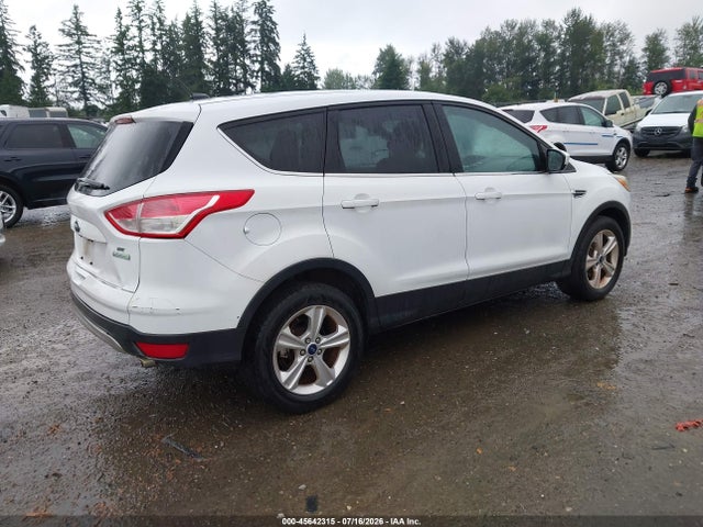 Ford ESCAPE SE 2014 1FMCU0GX2EUC73179 Image 4