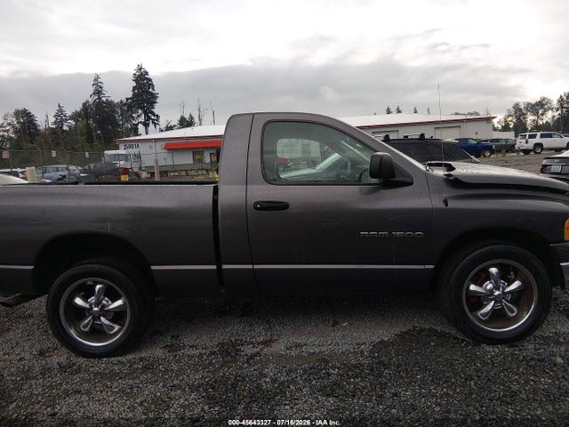 2002 Dodge Ram 1500 St მანქანა იყიდება აუქციონზე, vin: 1D7HA16Z02J155923, აუქციონის ნომერი: 45643327