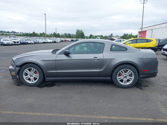 1ZVBP8AM9E5312572 Ford Mustang V6