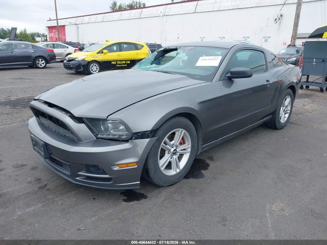 1ZVBP8AM9E5312572 Ford Mustang V6