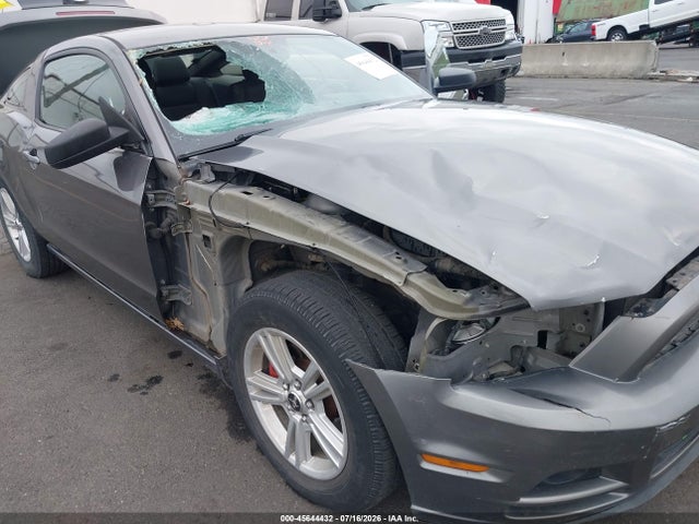 1ZVBP8AM9E5312572 Ford Mustang V6