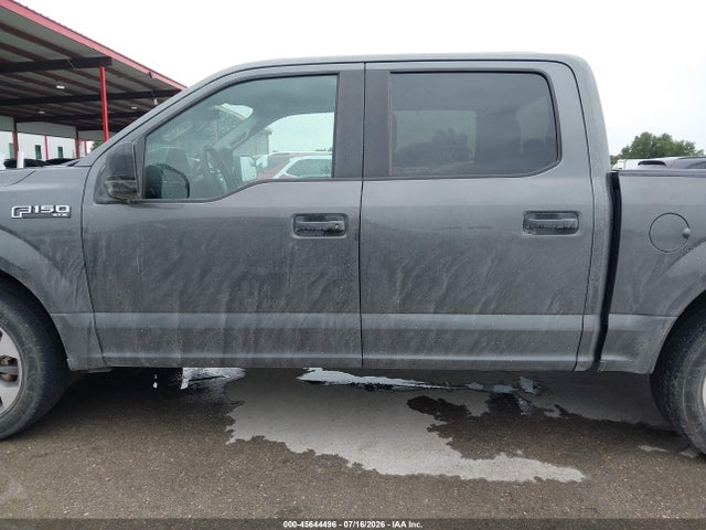 Продаж на аукціоні авто 2019 Ford F-150 Xl, vin: 1FTEW1CP6KKD63672, номер лоту: 45644496