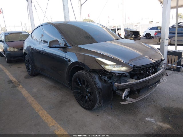 Продажа на аукционе авто 2025 Tesla Model Y Long Range Dual Motor Rear-wheel Drive, vin: 7SAYGDED9SF215319, номер лота: 45645392