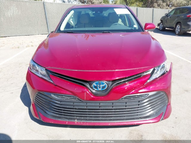 4T1B31HKXKU508950 Toyota Camry Hybrid Le