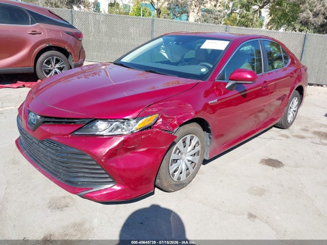 4T1B31HKXKU508950 Toyota Camry Hybrid Le