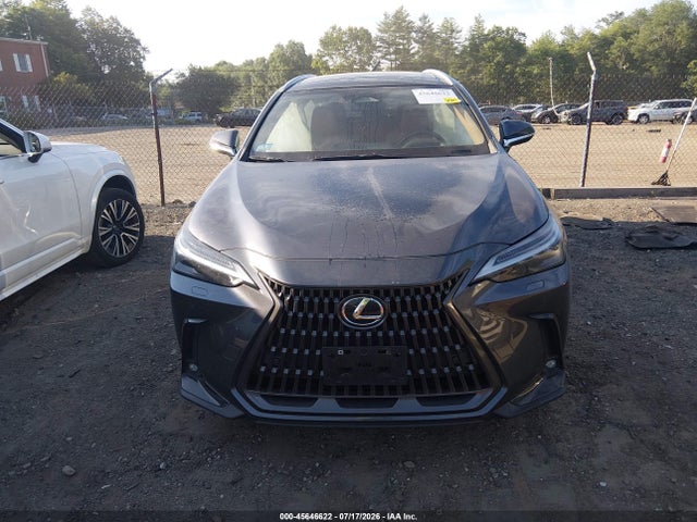 Продаж на аукціоні авто 2022 Lexus Nx 350 Luxury, vin: JTJHGCEZ8N2005897, номер лоту: 45646622