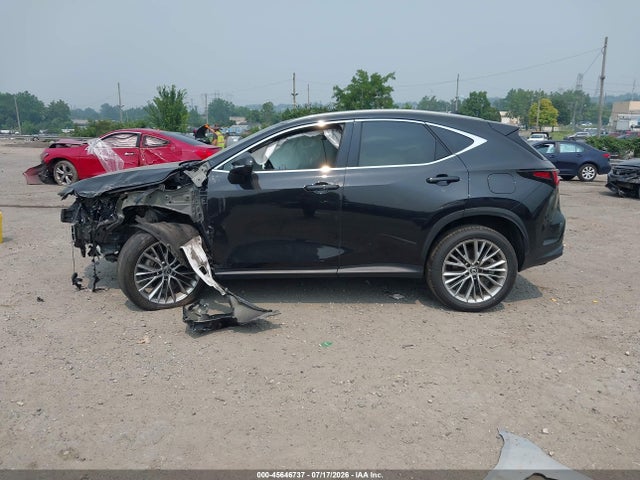 45646737 :رقم المزاد ، 2T2GKCEZ3SC036383 vin ، 2025 Lexus Nx 350h Premium مزاد بيع