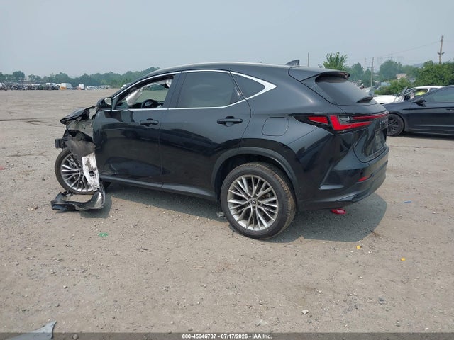 45646737 :رقم المزاد ، 2T2GKCEZ3SC036383 vin ، 2025 Lexus Nx 350h Premium مزاد بيع