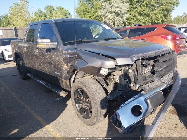 45649131 :رقم المزاد ، 1FTFW1ET9EKF37902 vin ، 2014 Ford F-150 Xlt مزاد بيع