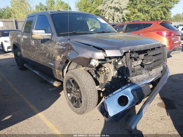 45649131 :رقم المزاد ، 1FTFW1ET9EKF37902 vin ، 2014 Ford F-150 Xlt مزاد بيع