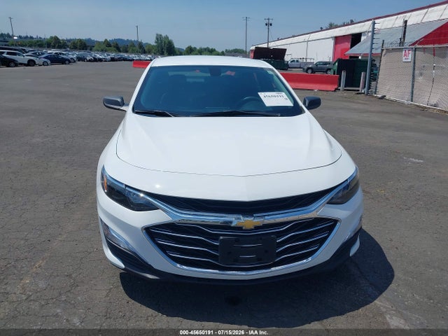 Chevrolet Malibu 1fl 2019 1G1ZC5ST2KF208117 Image 12