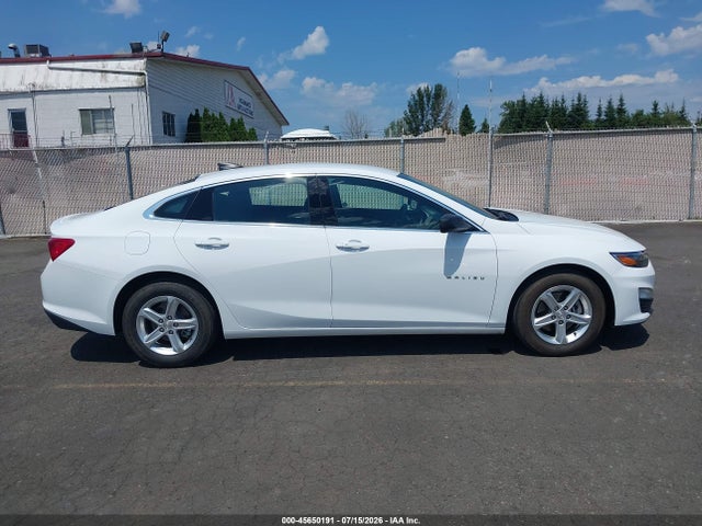 Chevrolet Malibu 1fl 2019 1G1ZC5ST2KF208117 Image 13