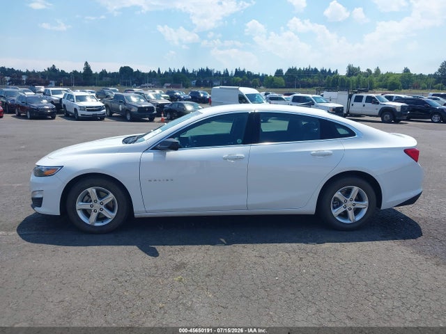 Chevrolet Malibu 1fl 2019 1G1ZC5ST2KF208117 Image 14