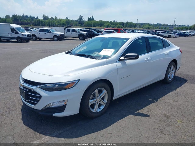 Chevrolet Malibu 1fl 2019 1G1ZC5ST2KF208117 Image 2