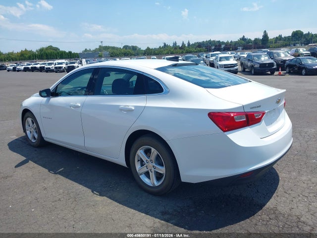 Chevrolet Malibu 1fl 2019 1G1ZC5ST2KF208117 Image 3