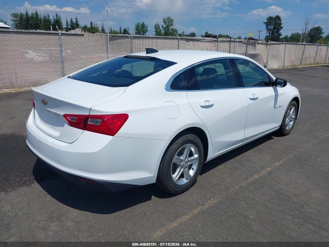 Chevrolet Malibu 1fl 2019 1G1ZC5ST2KF208117 Image 4