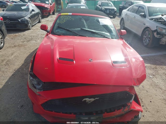 1FATP8UH4P5111130 Ford Mustang Ecoboost /ecoboost Premium