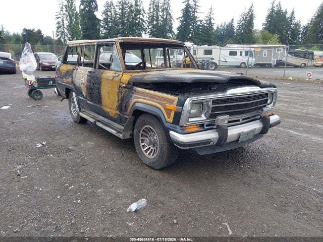 1988 Jeep Grand Wagoneer მანქანა იყიდება აუქციონზე, vin: 1JCNJ15U0JT140844, აუქციონის ნომერი: 45651416