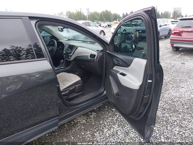 Chevrolet EQUINOX LS 2019 3GNAXHEVXKS654106 Image 5