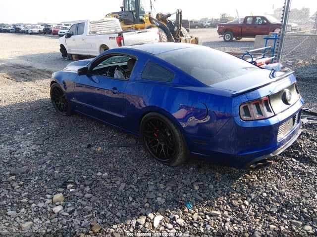Продаж на аукціоні авто 2013 Ford Mustang Gt, vin: 1ZVBP8CF8D5204828, номер лоту: 45655595