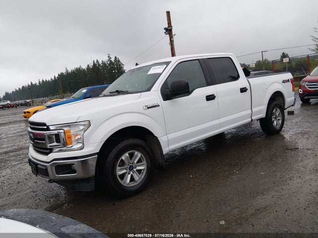 Ford F-150 Xlt 2019 1FTFW1E44KKE53247 Image 2