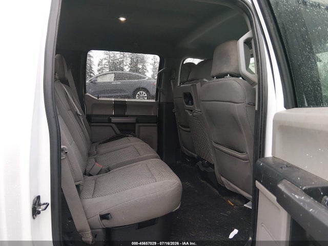 Ford F-150 Xlt 2019 1FTFW1E44KKE53247 Image 8
