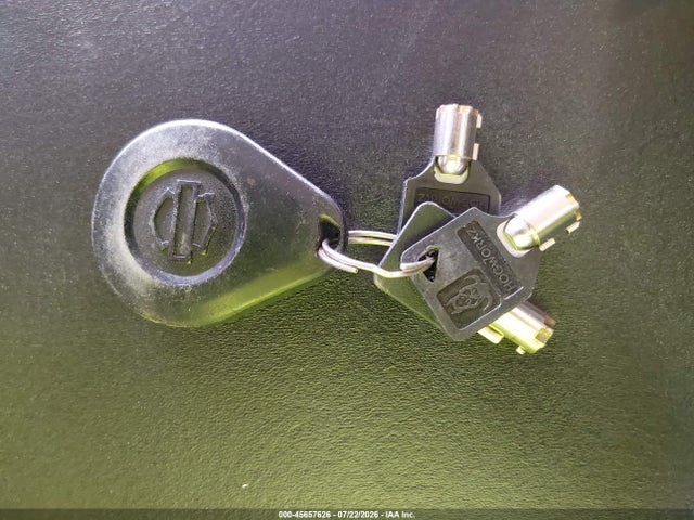 Harley-Davidson FLHXS 2020 1HD1KRP12LB634029 Image 11