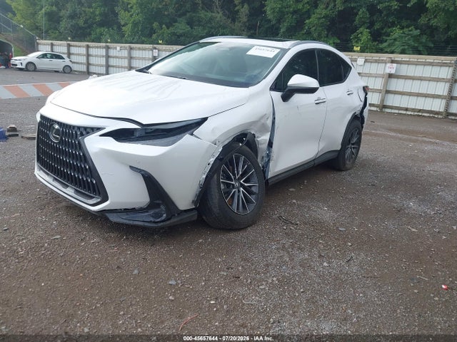 2025 Lexus Nx 350 Premium მანქანა იყიდება აუქციონზე, vin: 2T2GGCEZ2SC092431, აუქციონის ნომერი: 45657644
