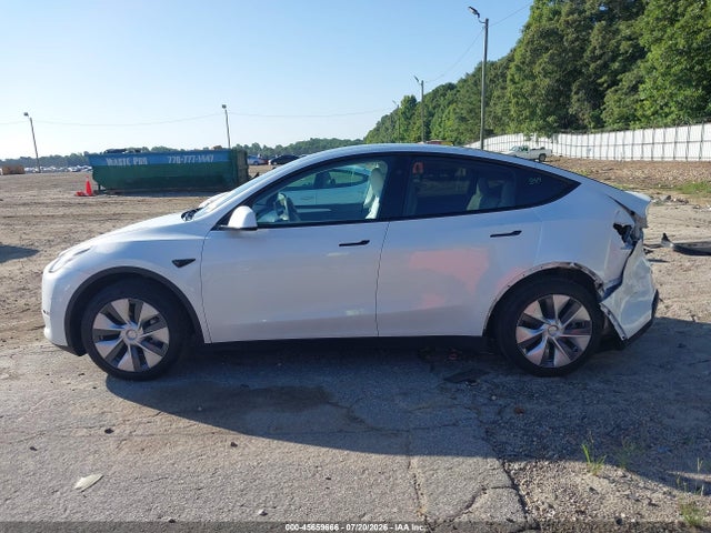 Продаж на аукціоні авто 2023 Tesla Model Y Rwd, vin: 7SAYGDED7PF932311, номер лоту: 45659666