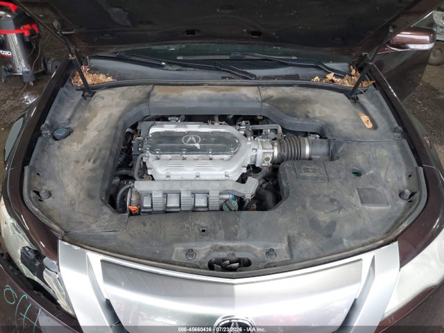 2009 Acura Tl 3.7 მანქანა იყიდება აუქციონზე, vin: 19UUA96599A001646, აუქციონის ნომერი: 45660436
