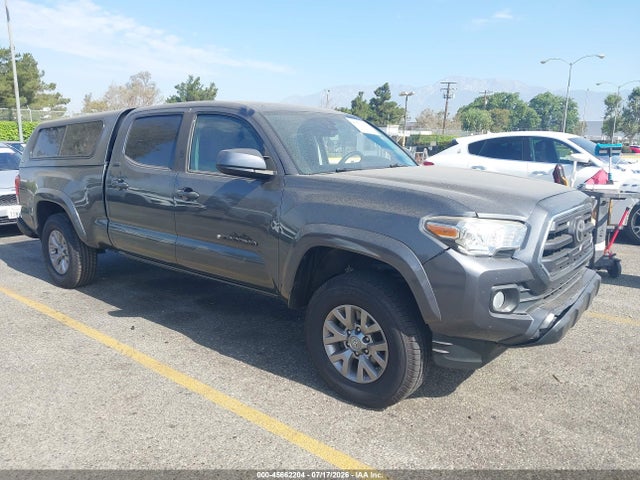 2019 3TMBZ5DN9KM018952 main image