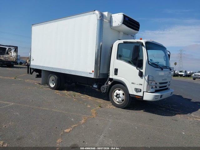 2023 54DC4W1D6PS202602 zdjęcie główne