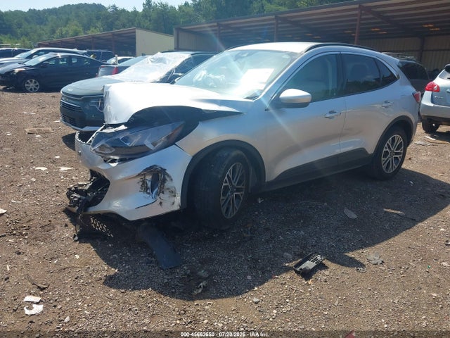 2020 Ford Escape Sel მანქანა იყიდება აუქციონზე, vin: 1FMCU0H69LUB17496, აუქციონის ნომერი: 45663650