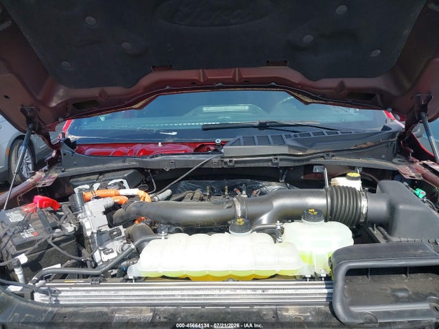 45664134 :رقم المزاد ، 1FTFW3LD2RFB69424 vin ، 2024 Ford F-150 Xlt مزاد بيع