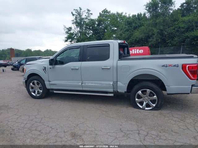 Aukcja sprzedaży 2023 Ford F-150 Xlt, vin: 1FTFW1ED9PFB28061, numer aukcji: 45665061