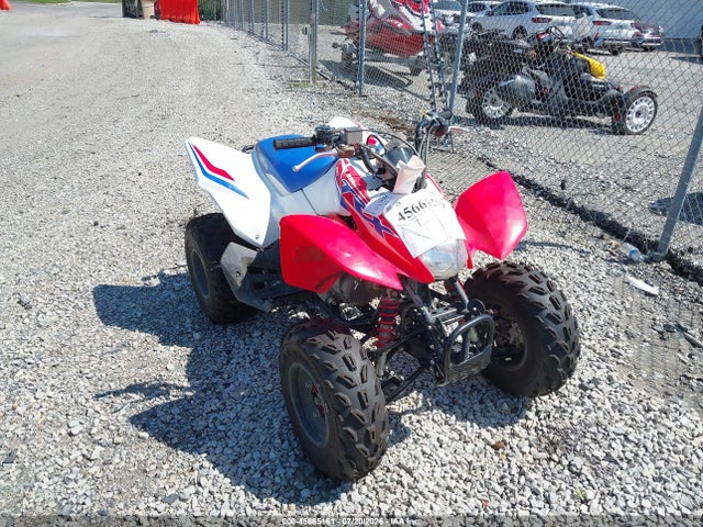 Honda Trx250 X 2026 1HFTE2708TJ200807 главное изображение