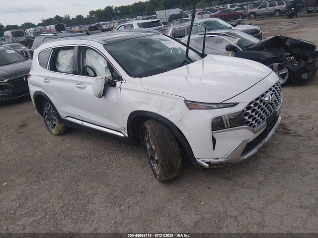 Продаж на аукціоні авто 2023 Hyundai Santa Fe Limited, vin: 5NMS44AL1PH525687, номер лоту: 45665718