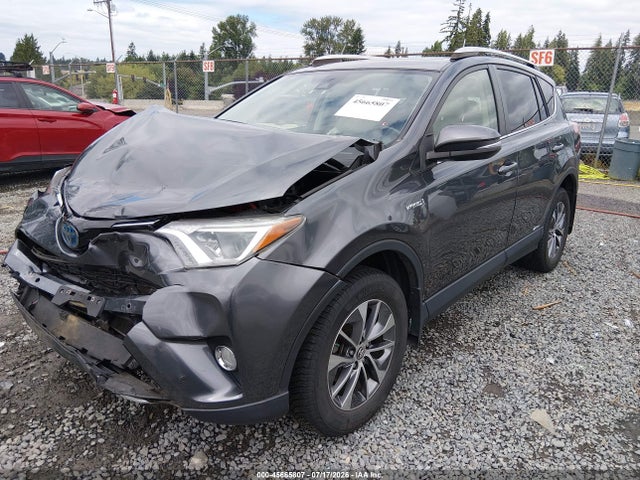 JTMRJREVXGD033717 Toyota Rav4 Hybrid Xle