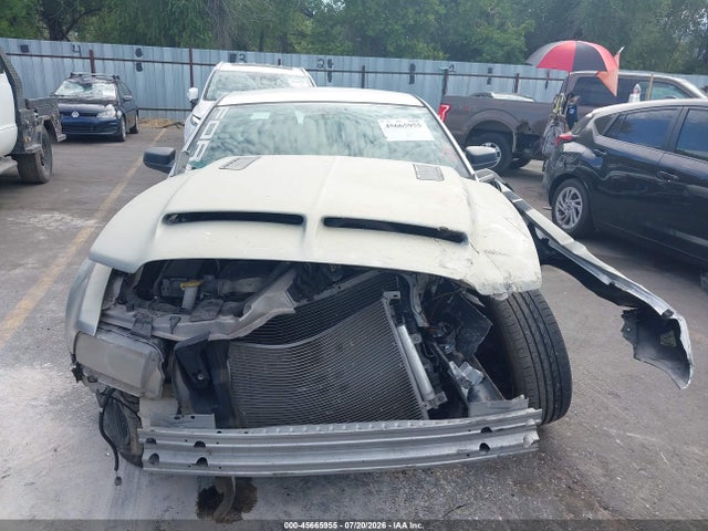 1ZVBP8AMXE5239891 Ford Mustang V6