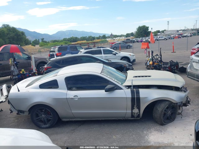 1ZVBP8AMXE5239891 Ford Mustang V6