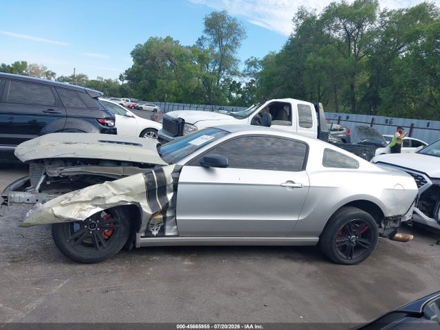 1ZVBP8AMXE5239891 Ford Mustang V6