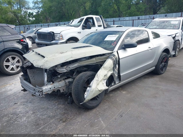 1ZVBP8AMXE5239891 Ford Mustang V6