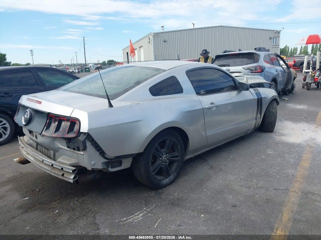 1ZVBP8AMXE5239891 Ford Mustang V6