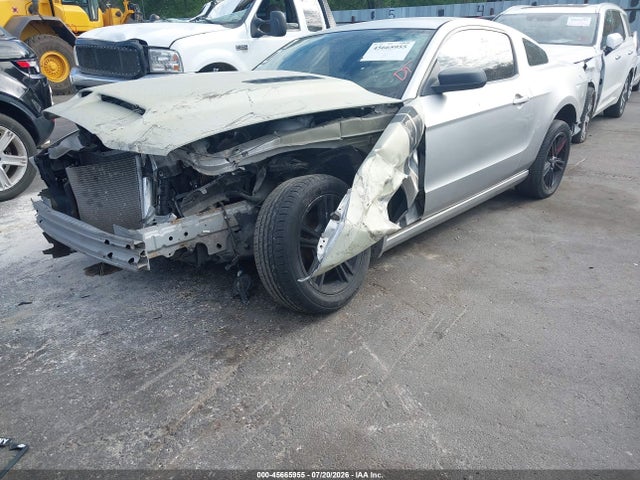 1ZVBP8AMXE5239891 Ford Mustang V6