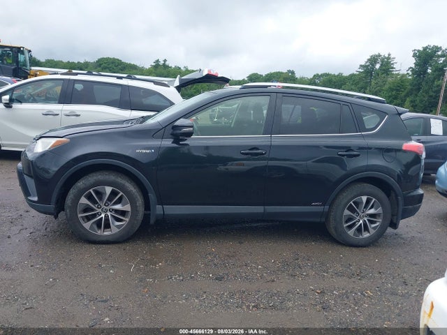 JTMRJREV6GD006417 Toyota Rav4 Hybrid Xle