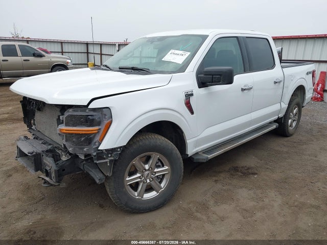 Ford F-150 Xlt 2025 1FTEW3LP4SKE21676 Image 2